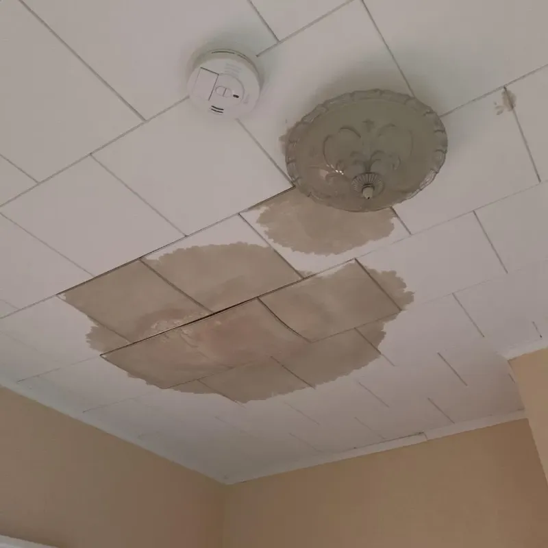Ceiling Water Damage Repair in Mabank, TX