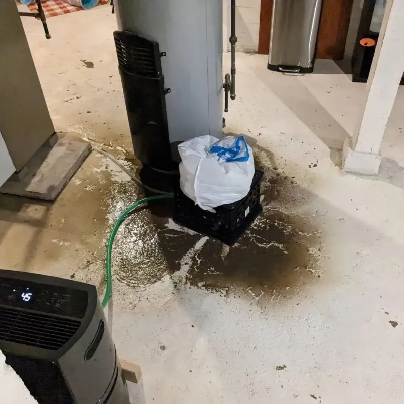 Sewage Backup Cleanup Service in Mabank, TX